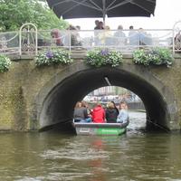IMG_1032.jpg