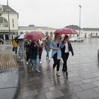 IMG_0919.jpg