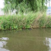 IMG_1048.jpg