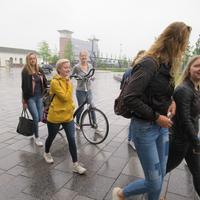 IMG_0923.jpg