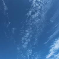 5EA67CFF-6F33-4861-9643-907CBD663EF4.jpeg